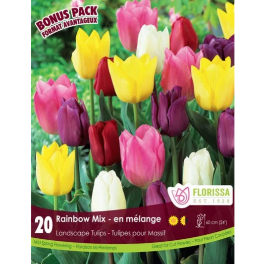 Tulip 'Rainbow Mix' Landscape 20/Pkg.