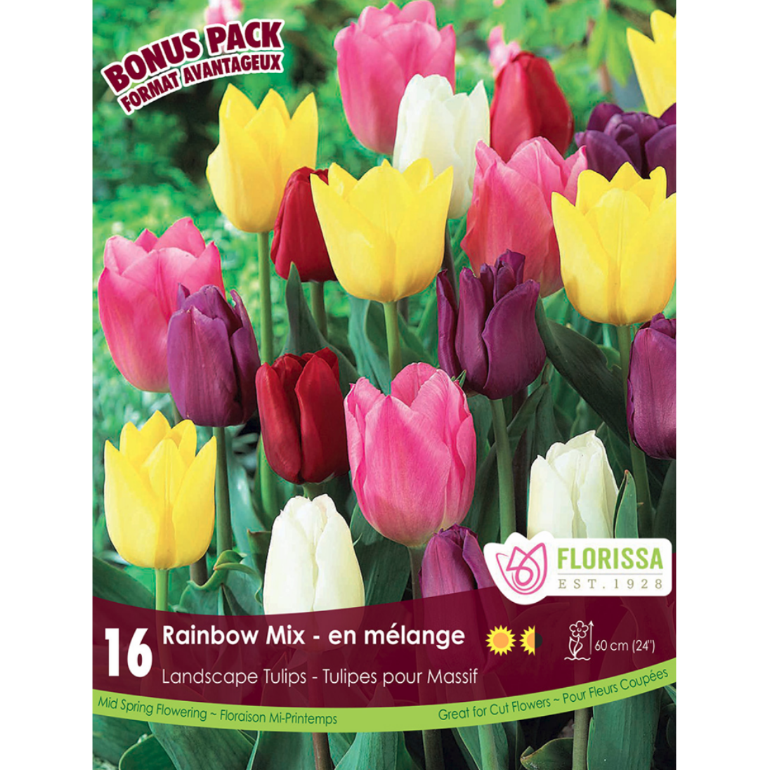 Tulip 'Rainbow Mix' Landscape 16/Pkg.