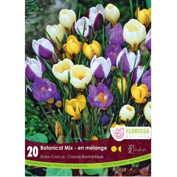 Crocus 'Botantical Mix' Snow 20/Pkg.