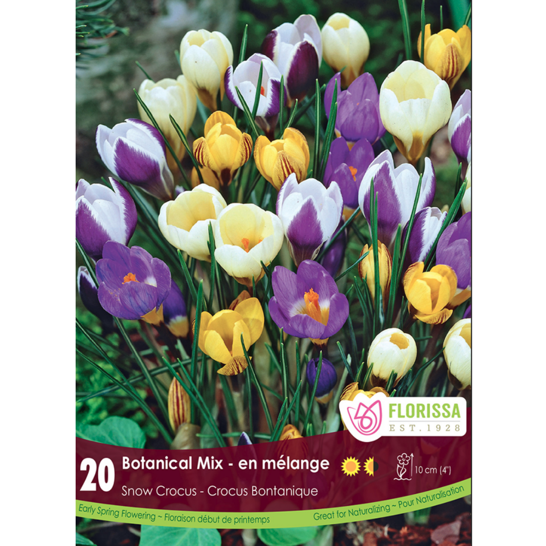 Crocus 'Botantical Mix' Snow 20/Pkg.