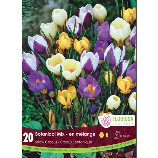 Crocus 'Botantical Mix' Snow 20/Pkg.
