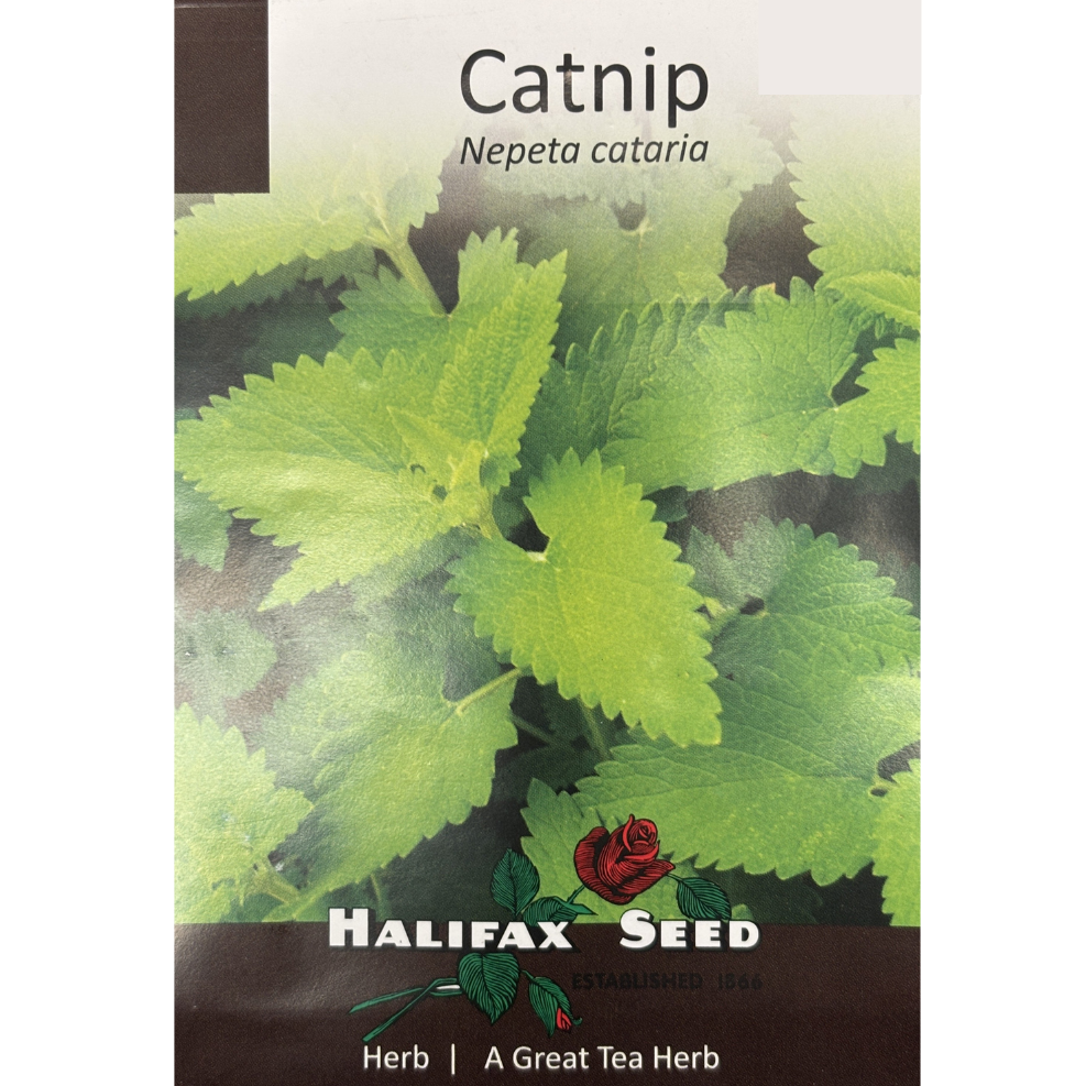 Halifax Herb Catnip