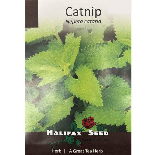 Halifax Herb Catnip