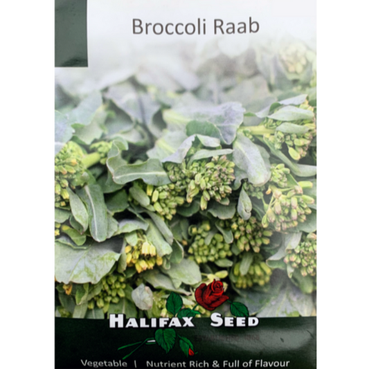Halifax Seed Broccoli Raab Pkg.