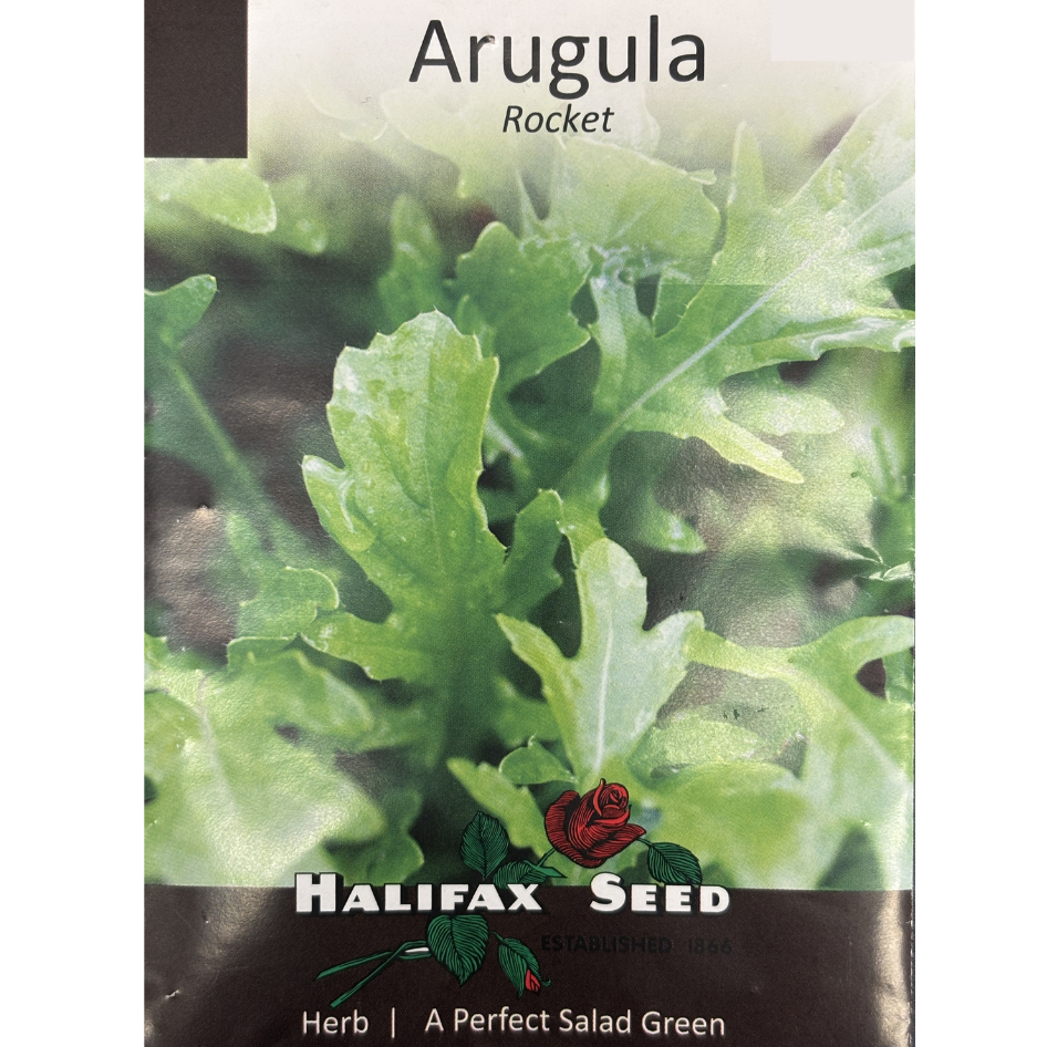 Halifax Seed Arugula Rocket Pkg.