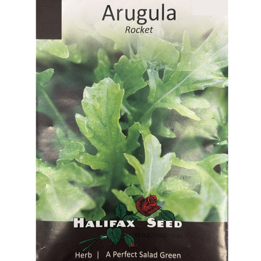 Halifax Seed Arugula Rocket Pkg.