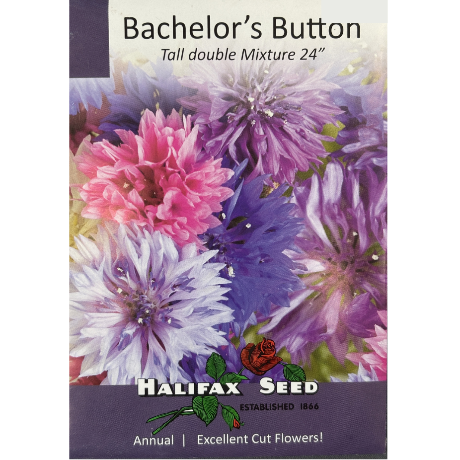 Halifax Seed Bachelor's Button Tall Double Mix Pkg.