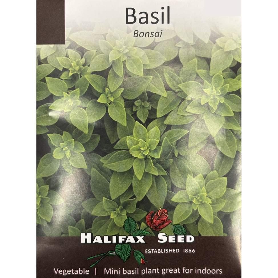 Halifax Herb Basil Bonsai – Scott's Nursery Ltd.