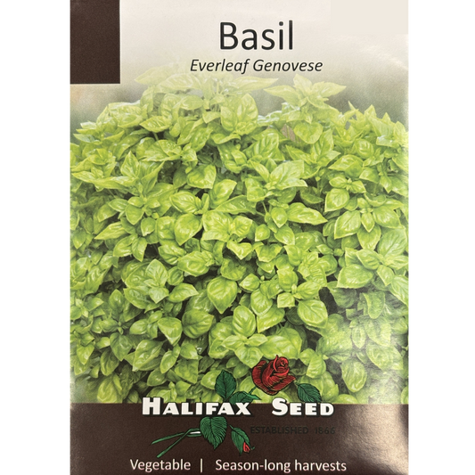 Halifax Herb Seed Basil Everleaf Genovese Pkg.
