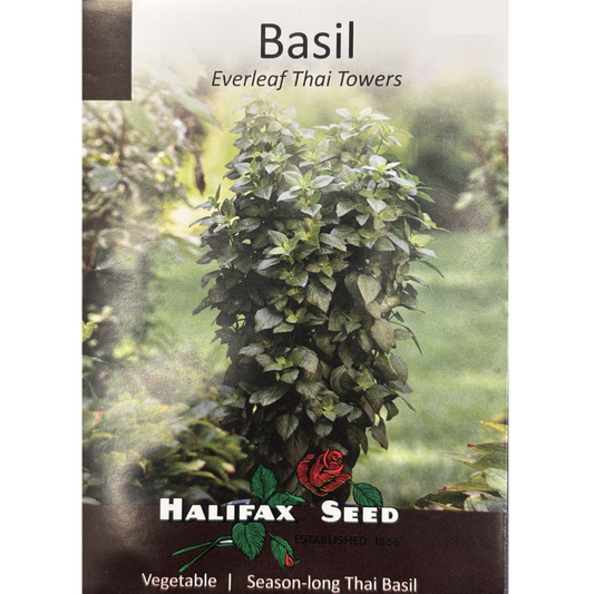Halifax Herb Basil Everleaf Thai Towers