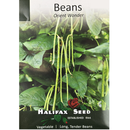 Halifax Seed Bean Orient Wonder Pkg.