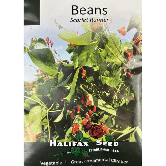 Halifax Seed Bean Scarlet Runner Pkg.