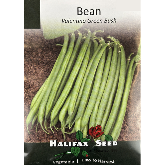 Halifax Seed Bean Valentino Green Bush Pkg.