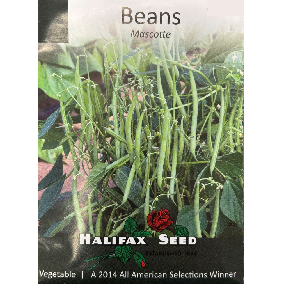 Halifax Seed Bean Mascotte Pkg.