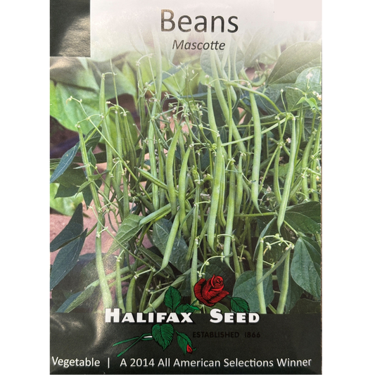 Halifax Seed Bean Mascotte Pkg.