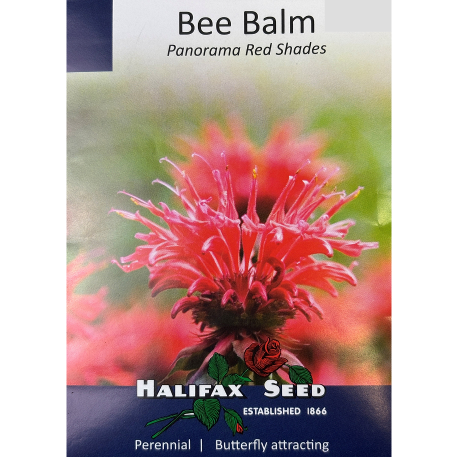 Halifax Seed Bee Balm Panorama Red Pkg.