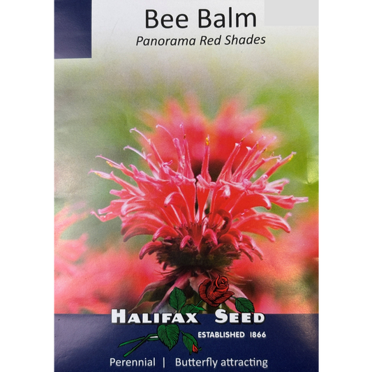 Halifax Seed Bee Balm Panorama Red Pkg.