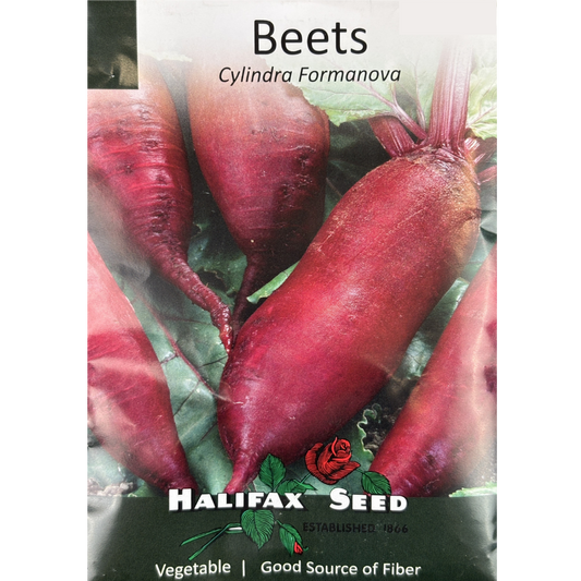 Halifax Seed Beet Cylindra Formanova Pkg.