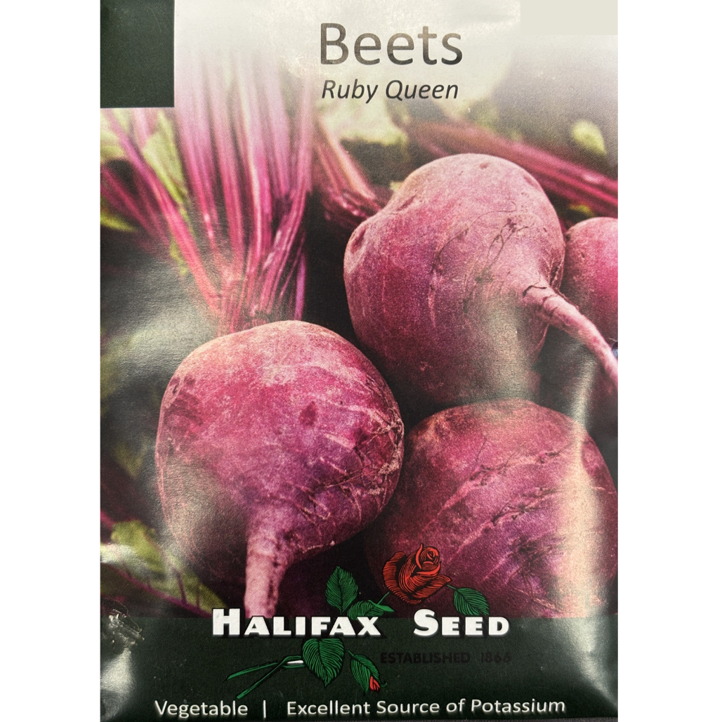 Halifax Seed Beet Ruby Queen Pkg.