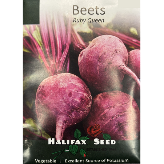 Halifax Seed Beet Ruby Queen Pkg.