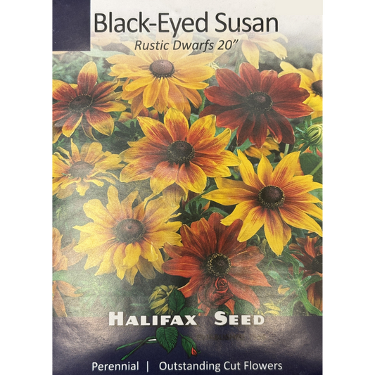 Halifax Seed Black Eyed Susan Rustic Dwarf Pkg.