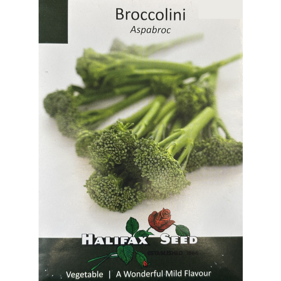 Halifax Seed Broccolini Aspabroc Pkg.