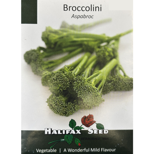 Halifax Seed Broccolini Aspabroc Pkg.