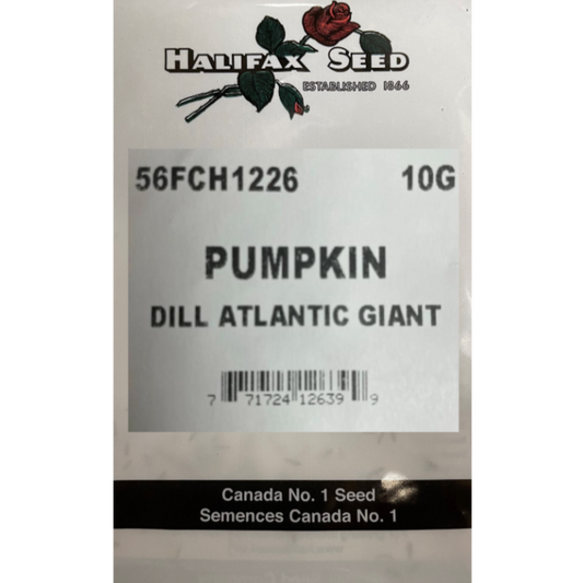 Halifax Seed Bulk Pumpkin Dill Atlantic Giant 10g