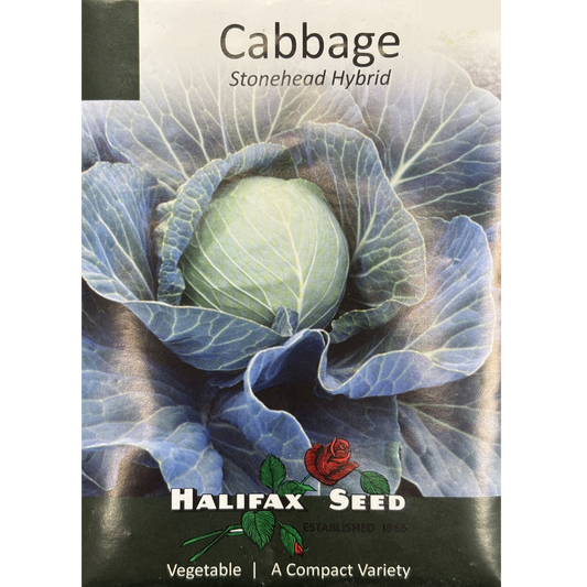 Halifax Seed Cabbage Stonehead Hybrid Pkg.
