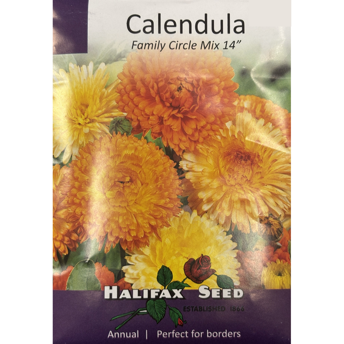 Halifax Seed Calendula Family Circle Mix Pkg.