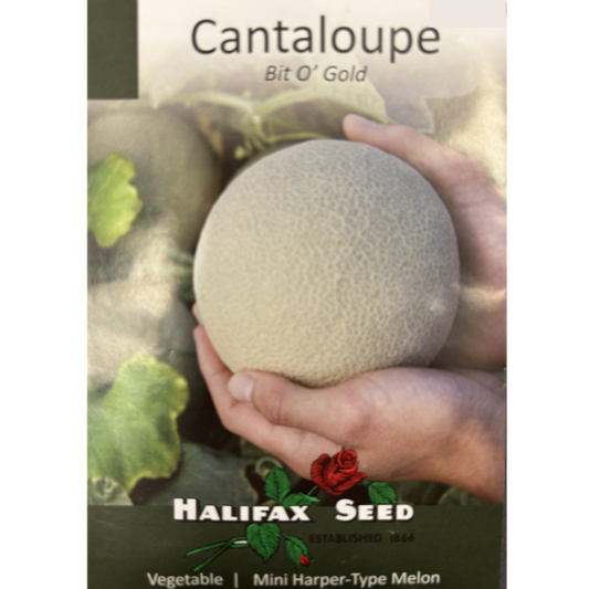 Halifax Seed Cantaloupe Bit o' Gold Pkg.