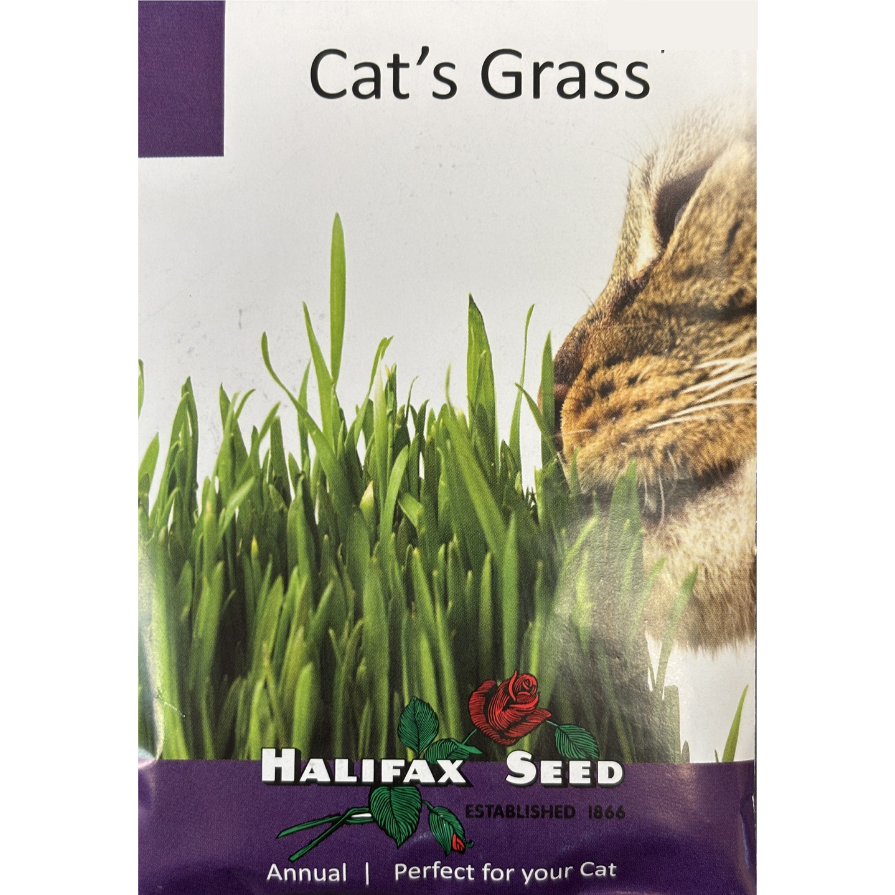 Halifax Seed Cat Grass Pkg.