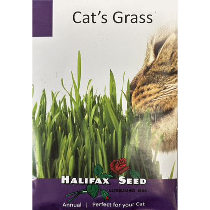 Halifax Seed Cat Grass Pkg.