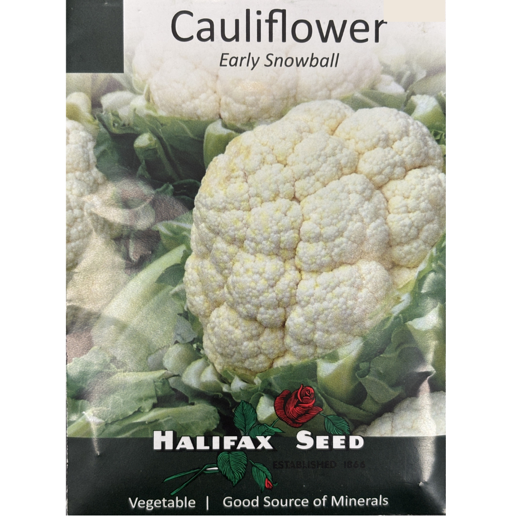 Halifax Seed Cauliflower Early Snowball Pkg.