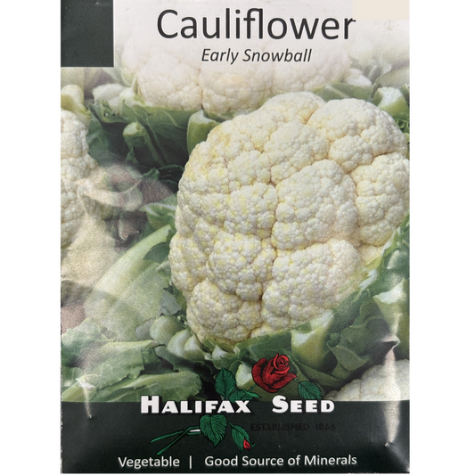 Halifax Seed Cauliflower Early Snowball Pkg.