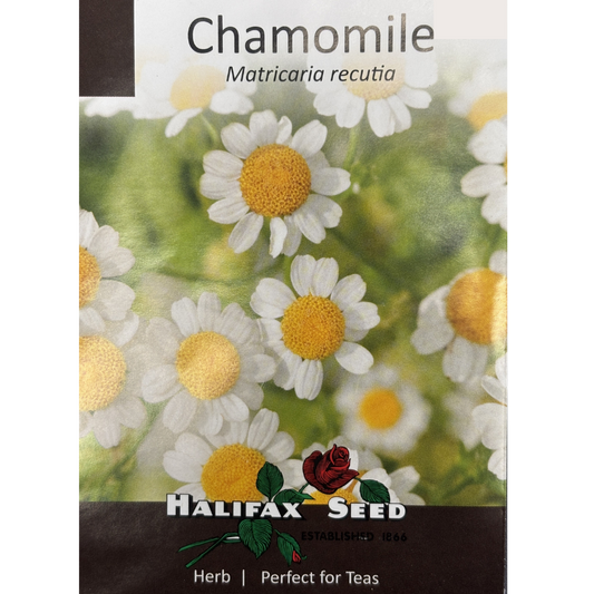 Halifax Herb Chamomile
