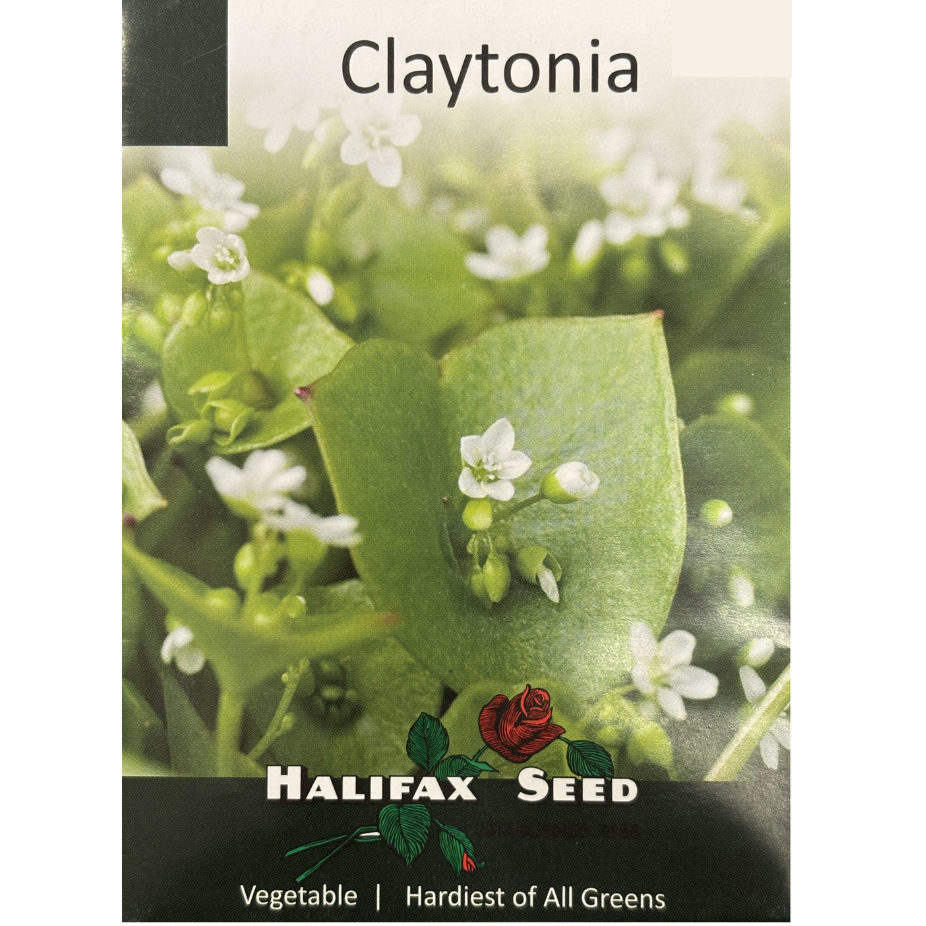 Halifax Seed Claytonia Pkg.
