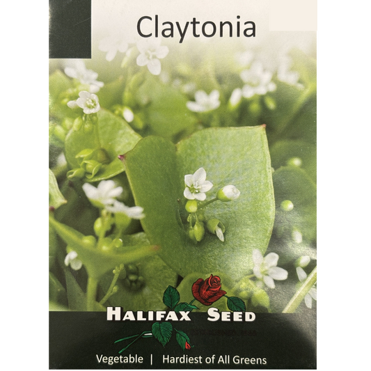 Halifax Seed Claytonia Pkg.