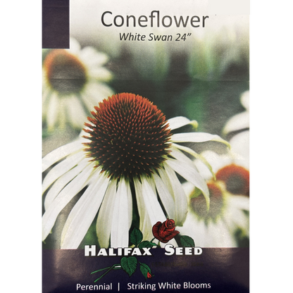 Halifax Seed Coneflower White Swan Pkg.