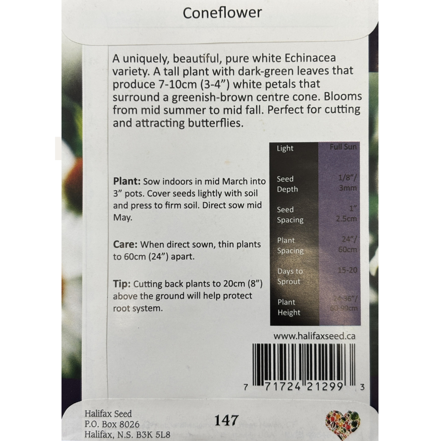 Halifax Seed Coneflower White Swan Pkg.