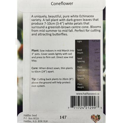 Halifax Seed Coneflower White Swan Pkg.