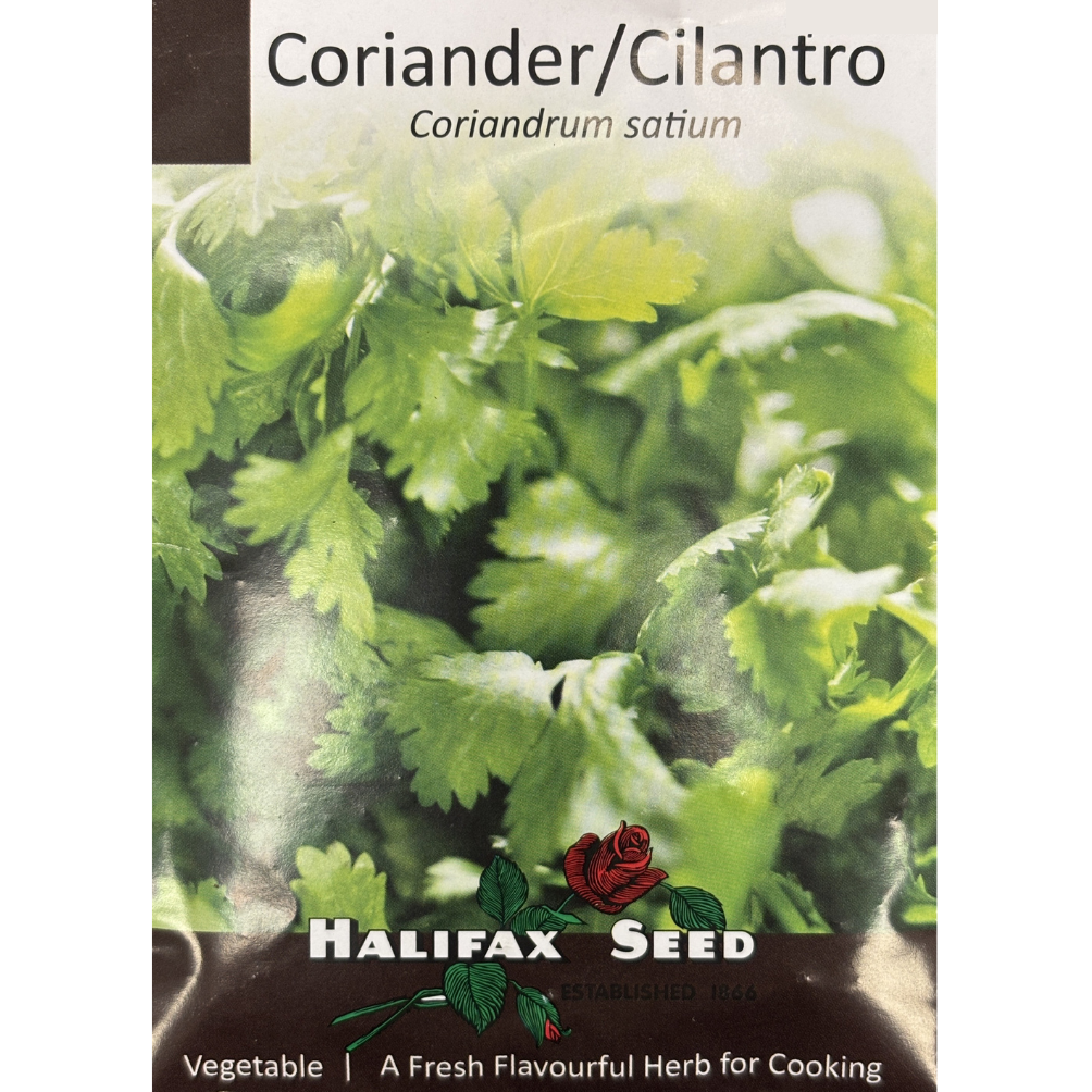 Halifax Herb Coriander/Cilantro Pkg.