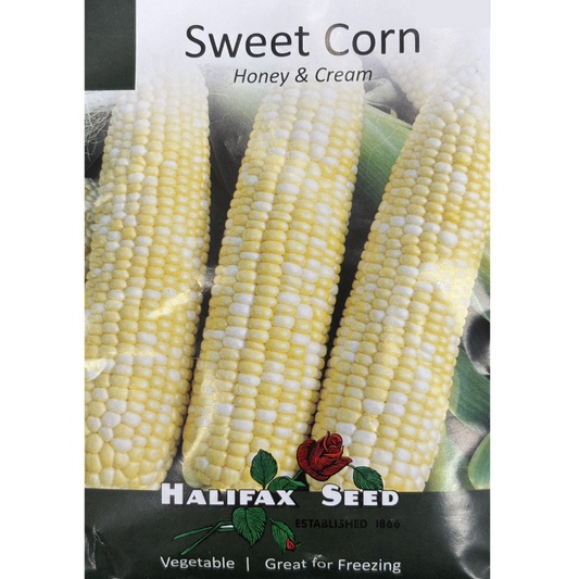 Halifax Seed Corn Honey & Cream Pkg.