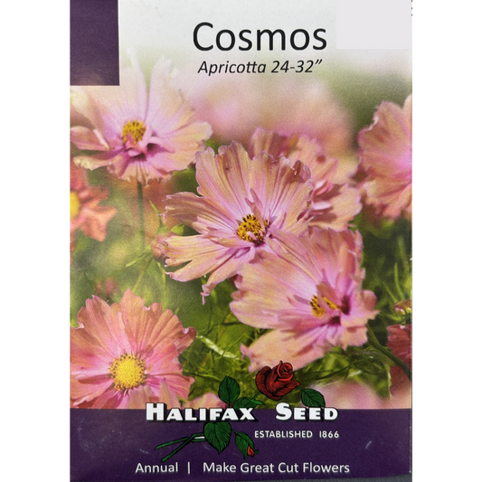 Halifax Seed Cosmos Apricotta Pkg.