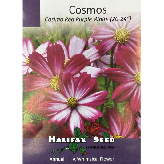 Halifax Seed Cosmos Cosimo Red Purple White Pkg.