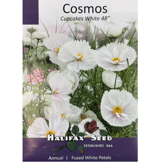 Halifax Seed Cosmos Cupcakes White Pkg.