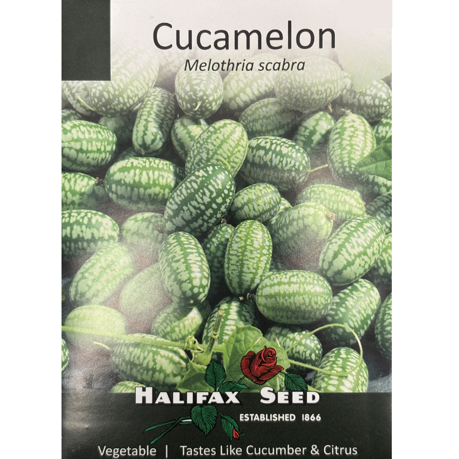 Halifax Seed Cucamelon Pkg.