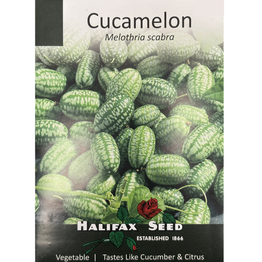 Halifax Seed Cucamelon Pkg.
