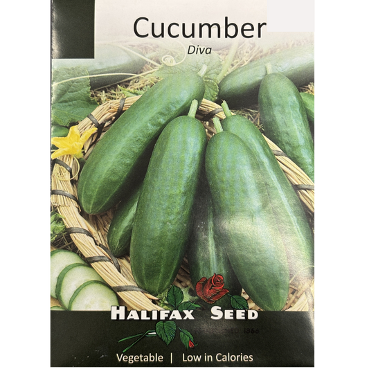 Halifax Seed Cucumber Diva Pkg.