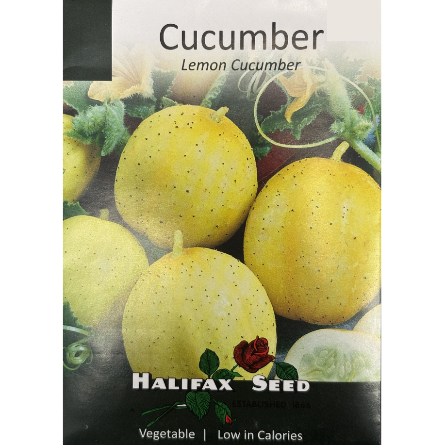 Halifax Seed Cucumber Lemon Pkg.